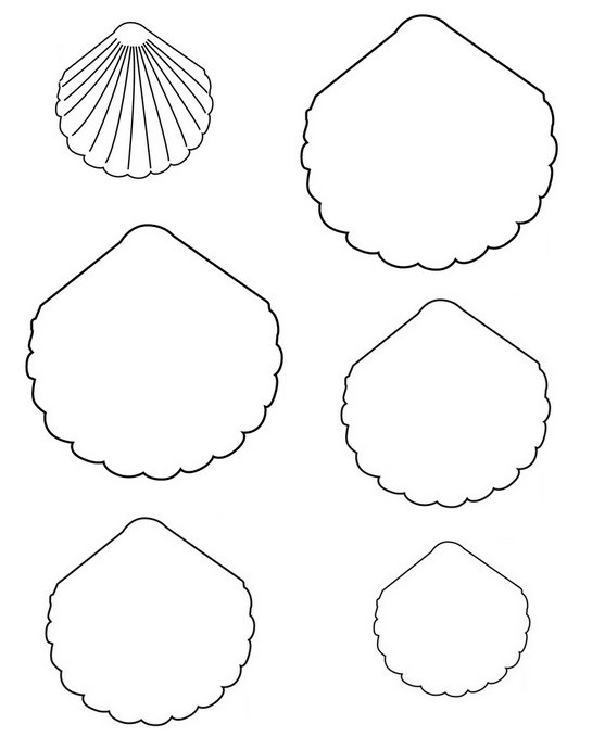 Coloring page End the drawing of shells