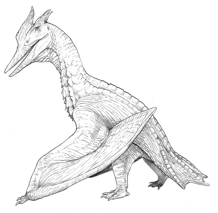 Malvorlagen Rodan