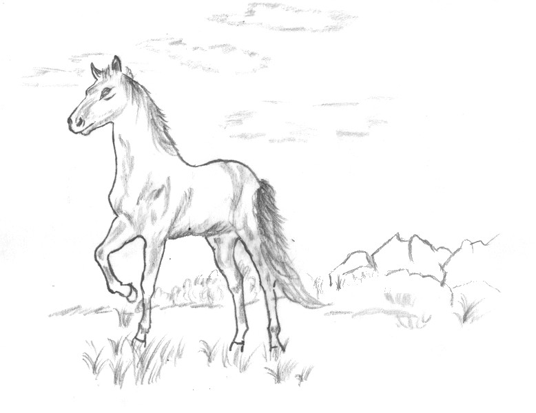 Desenho para colorir Cavalos