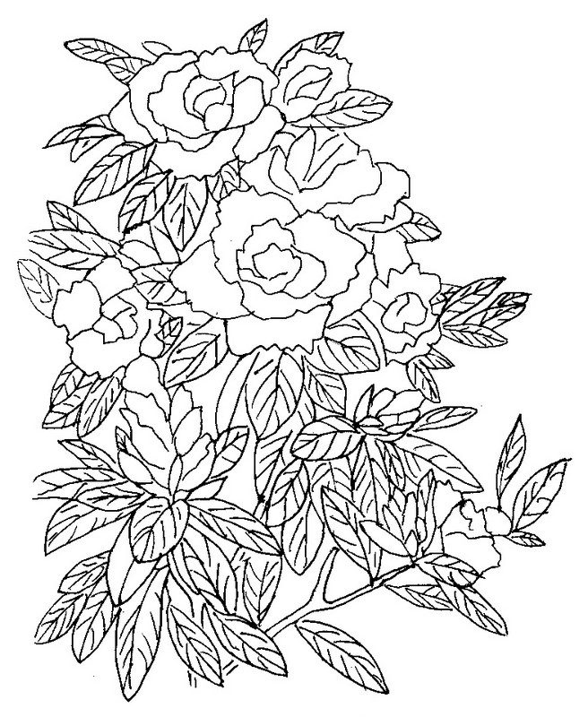 Desenho para colorir Flores