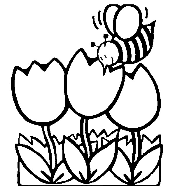 Tulostakaa värityskuvia Bee juurikasvit tulppaanit