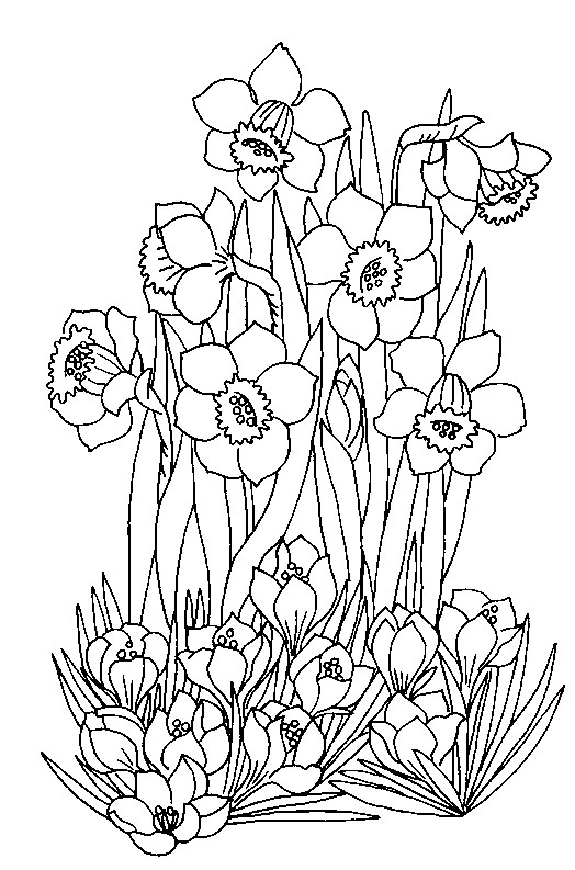 Coloring page Spring