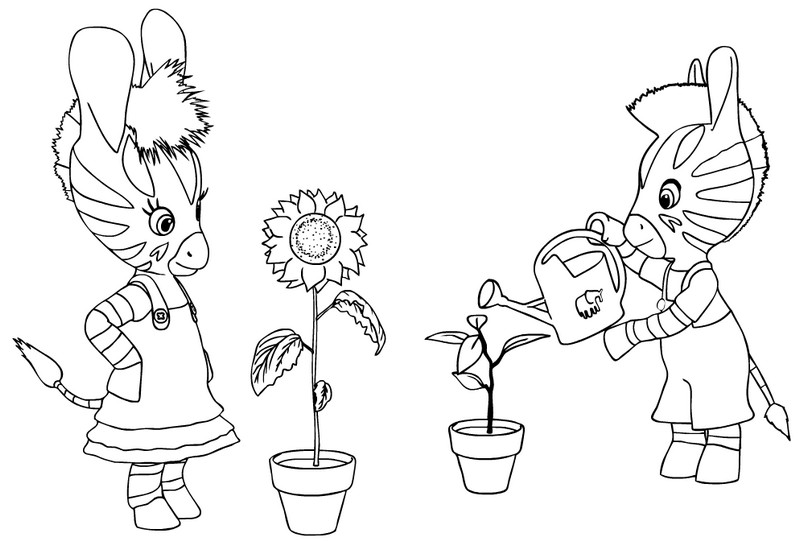 Coloring page Zou