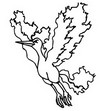Coloring page Moltres