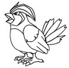 Coloring page Pidgeotto