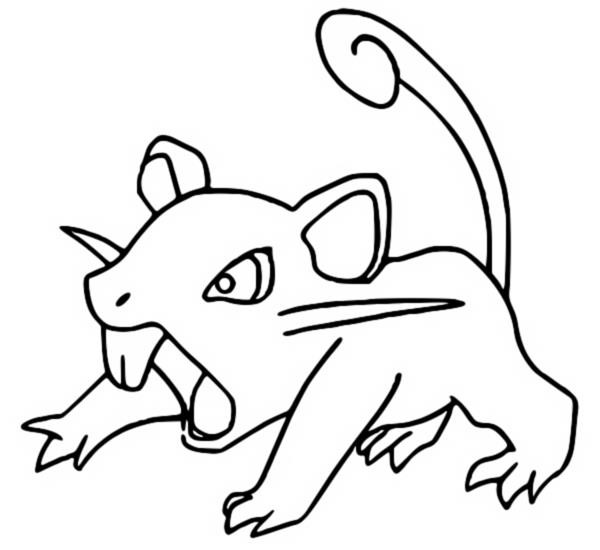 Rattata pokémon