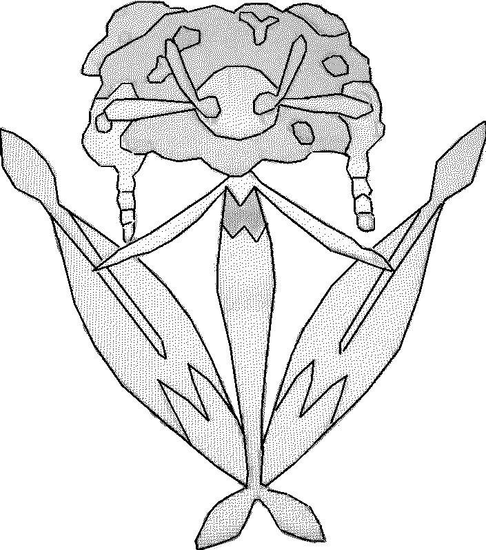 quilava coloring pages - photo #35