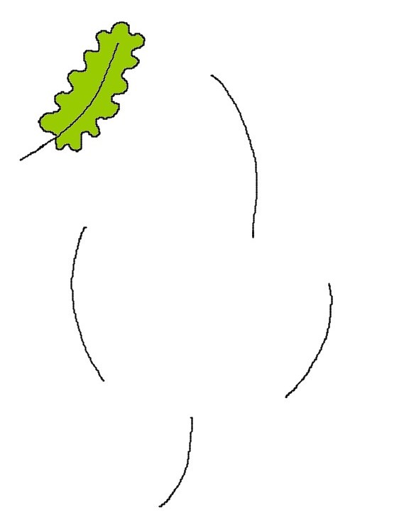 Coloring page Draw oak-leaves as the model