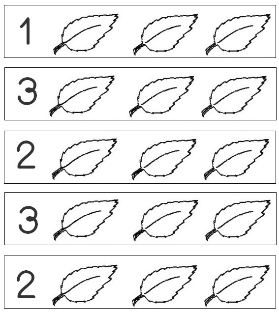 Coloring page Colour in the indicated number of leaves