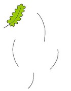 Coloring page Draw oak-leaves as the model