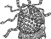 Desenho para colorir Muta