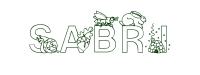 Coloriage - Sabri - Garçon Prénoms S