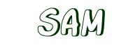 Image à colorier - Sam - Garçon Prénoms S