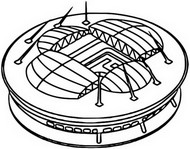 Dibujo para colorear Estadio San Petersburgo