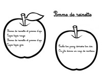 Coloriage Pomme de Reinette