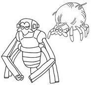 Coloring page Tarountula & Spidops