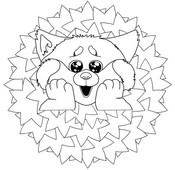 Coloring page Red panda - Mandala