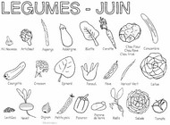 Coloriage Légumes de saison