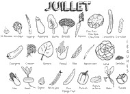 Coloriage Légumes de juillet