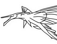 Coloriage Skimwing