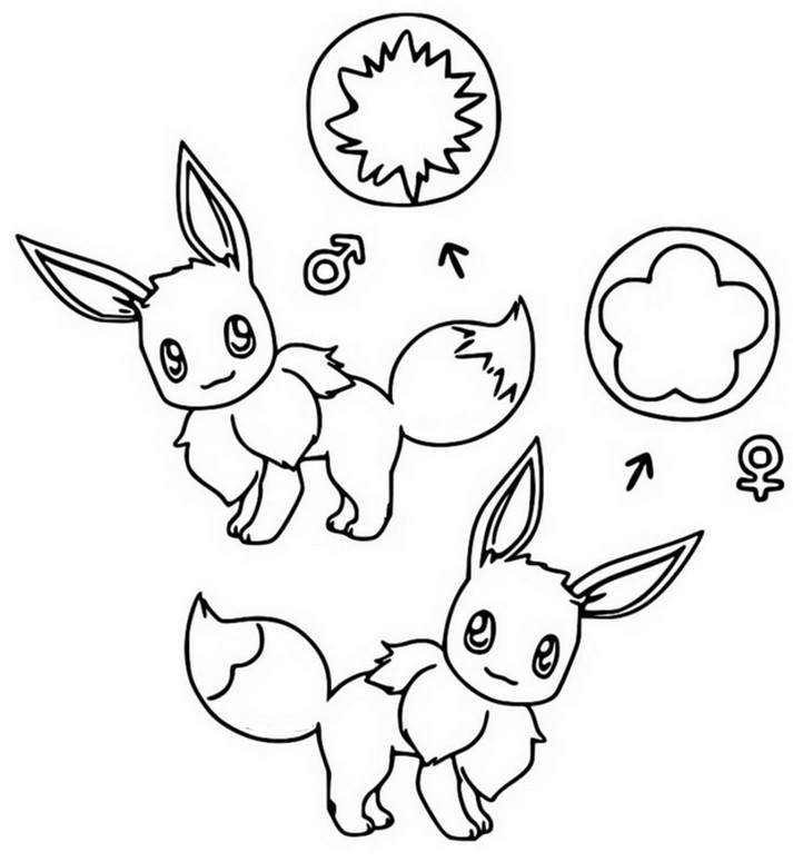 Coloring page Female Eevee and Male Eevee