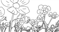 Coloring page Field of flowers