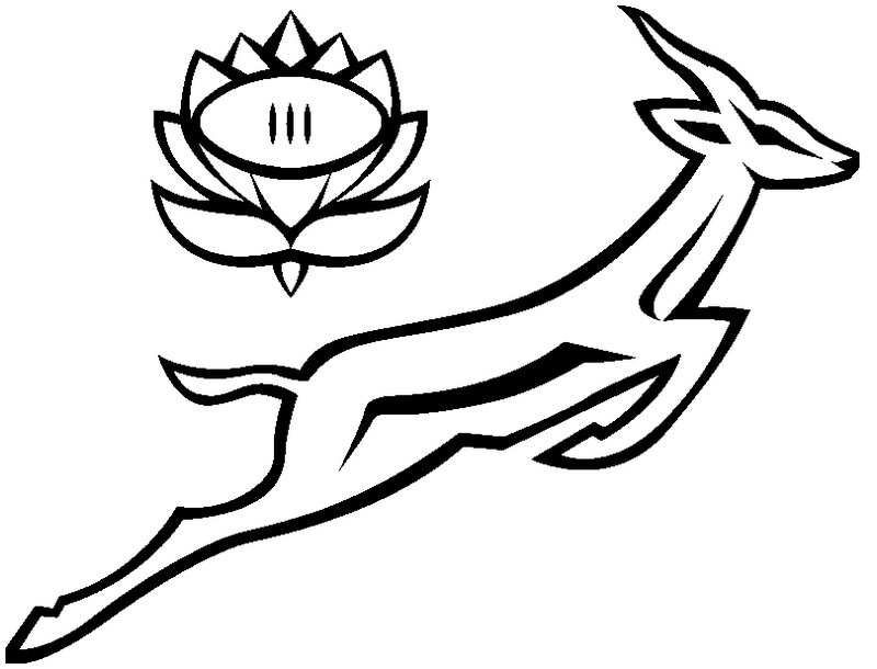 Logo Springbok Rugby 2023