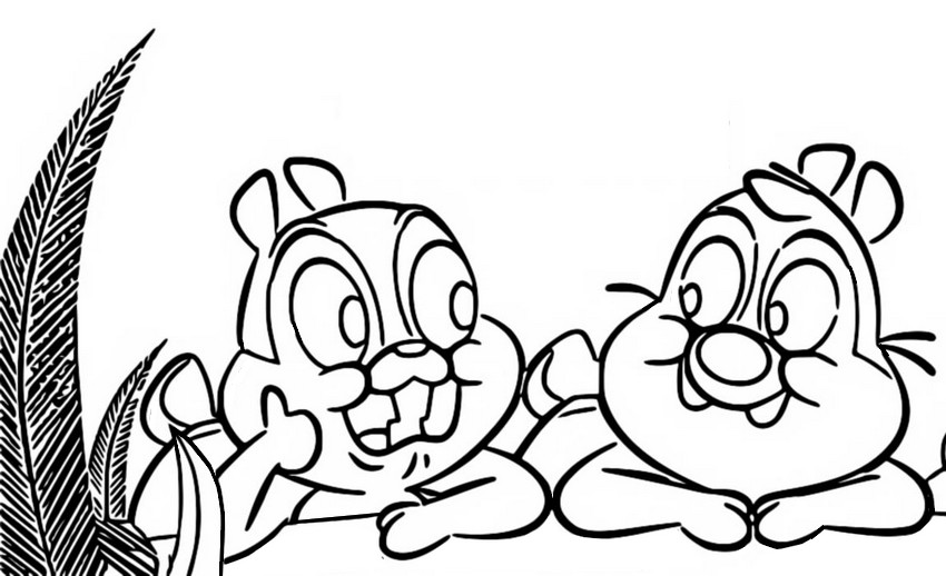 Dibujo para colorear Chip y Dale: La vida en el parque