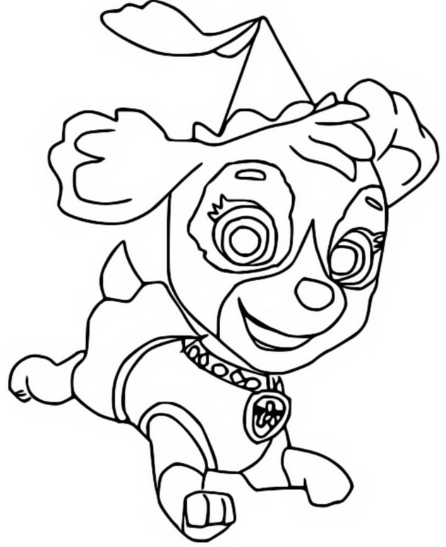 Coloriage Stella Pat Patrouille Skye Paw Patrol Dessin Stella à