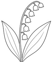 다운로드용 색칠공부 - 은방울꽃 한 송이 - 5월 1일 은방울꽃