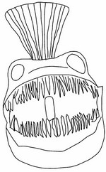 Feuille de coloriage - Monster fish - Zoonomaly