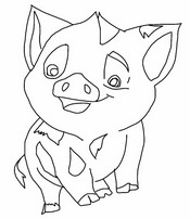 Printable coloring - Pua - Moana 2