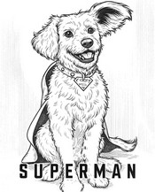 Free coloring page - Krypto - Superman