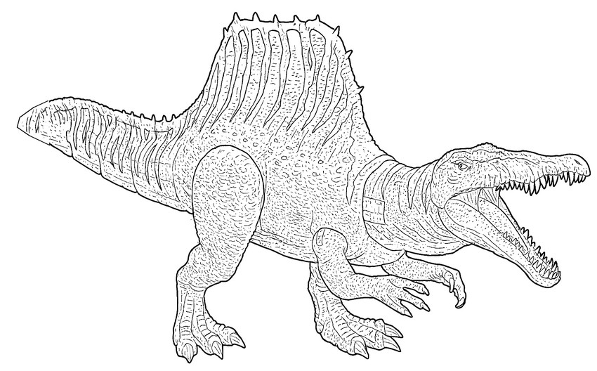 Coloring page Spinosaurus