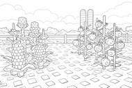 무료 색칠그림 - 옥수수밭과 거대 토마토 - Roblox - Grow a garden