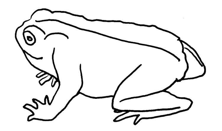 Coloring page Animals