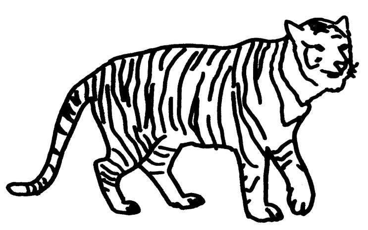 Tulostakaa värityskuvia Tiikeri - Eläimet