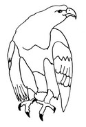 Coloring page Animals