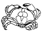 Coloriage Crabe