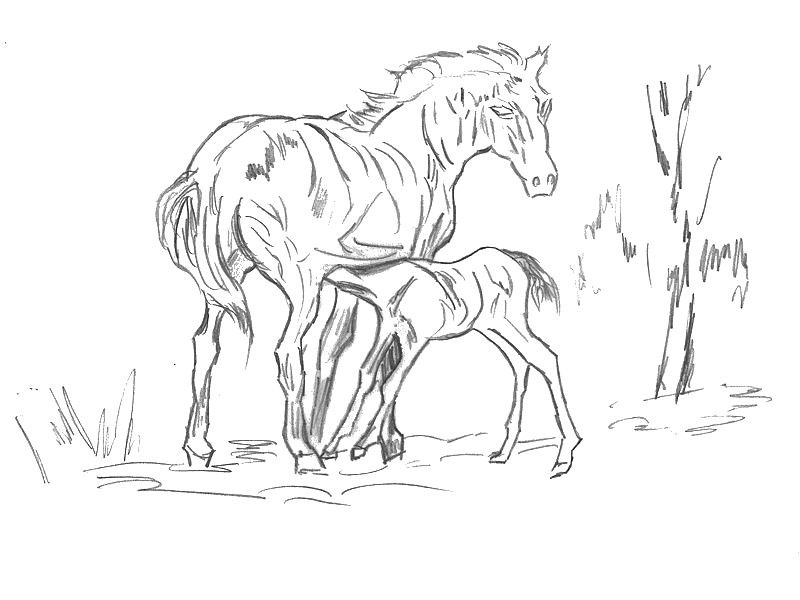 Coloring page Horses
