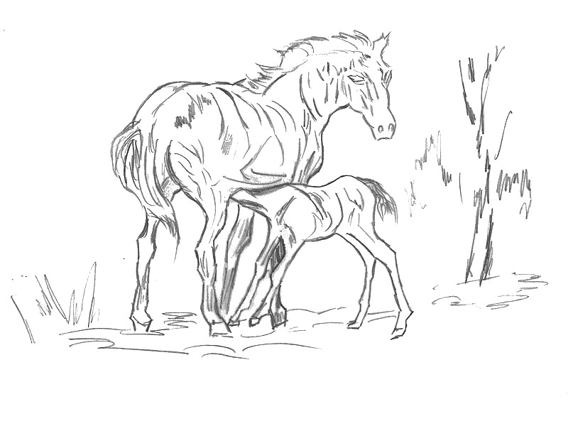 Desenho para colorir Cavalos