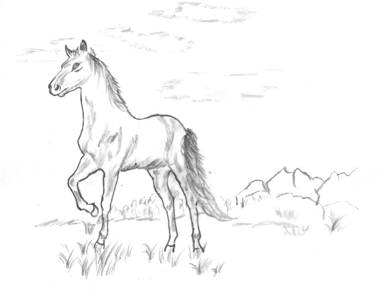 Coloring page Horses