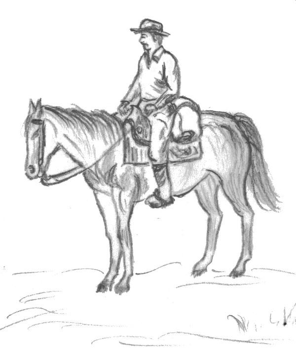 Desenho para colorir Cavalos