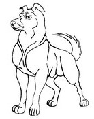 Coloring page Dogs