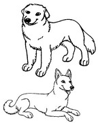 Coloring page Dogs