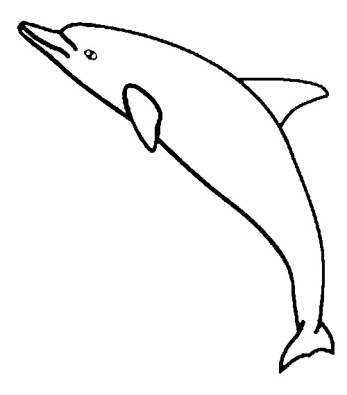 Coloring page Dolphins