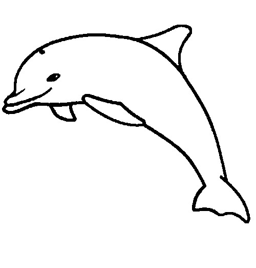 Desenho para colorir Golfinhos