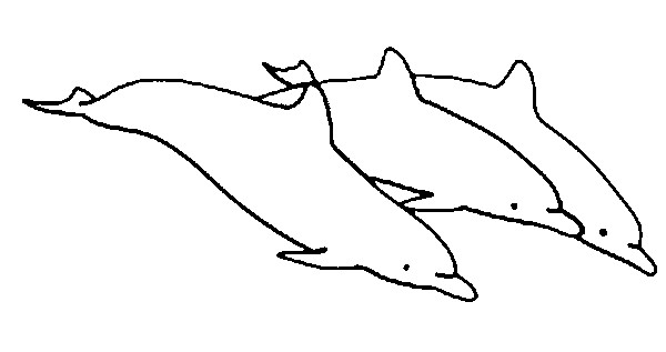 Coloring page Dolphins