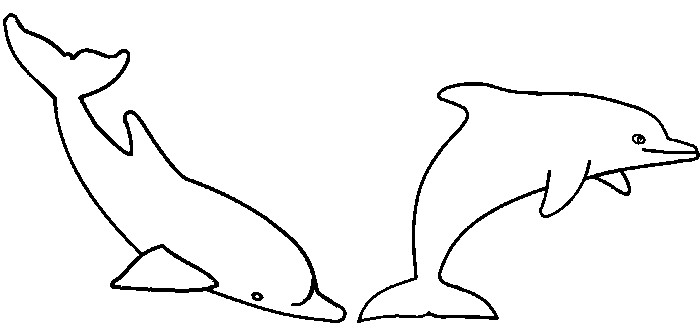 Coloring page Dolphins