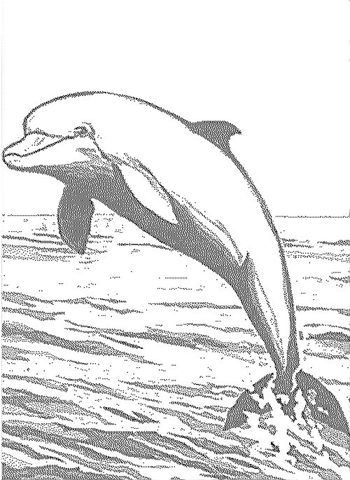 Tulostakaa värityskuvia Delfiinit
